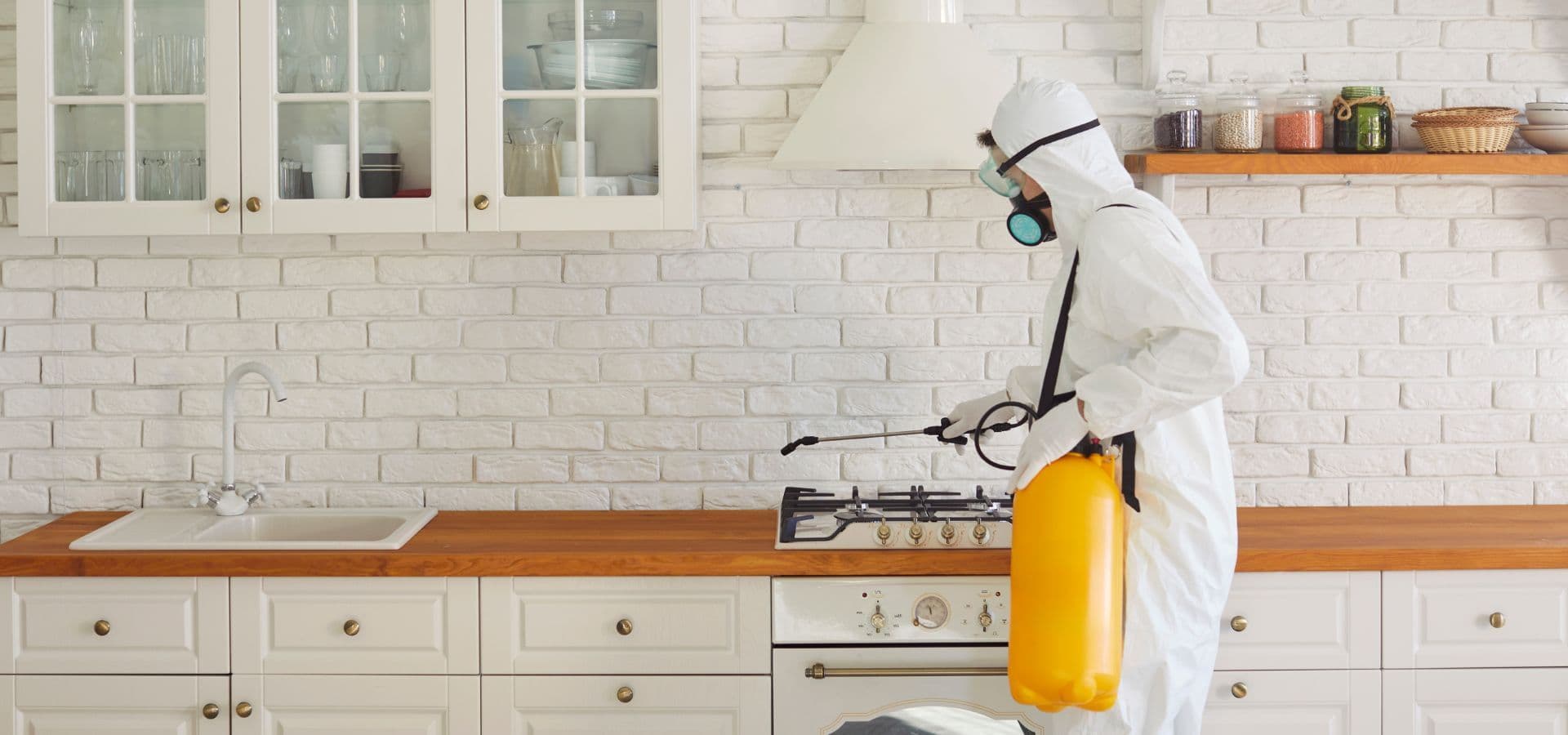 Professional pest control background